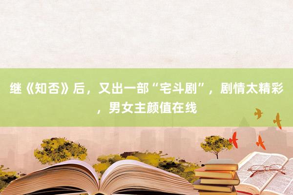 继《知否》后，又出一部“宅斗剧”，剧情太精彩，男女主颜值在线