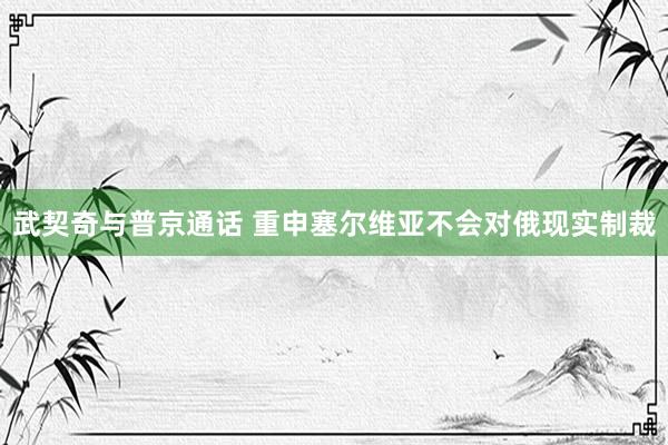 武契奇与普京通话 重申塞尔维亚不会对俄现实制裁