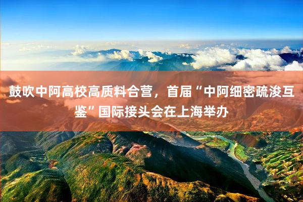 鼓吹中阿高校高质料合营，首届“中阿细密疏浚互鉴”国际接头会在上海举办
