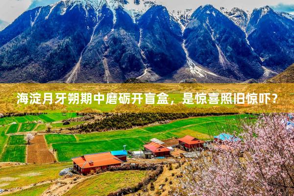 海淀月牙朔期中磨砺开盲盒，是惊喜照旧惊吓？