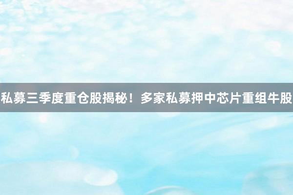 私募三季度重仓股揭秘！多家私募押中芯片重组牛股