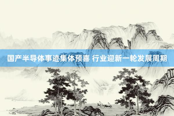 国产半导体事迹集体预喜 行业迎新一轮发展周期