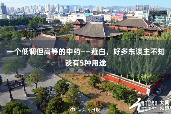 一个低调但高等的中药——薤白，好多东谈主不知谈有5种用途