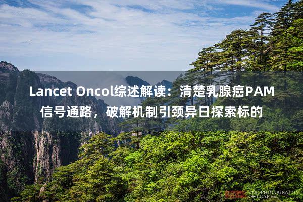 Lancet Oncol综述解读：清楚乳腺癌PAM信号通路，破解机制引颈异日探索标的