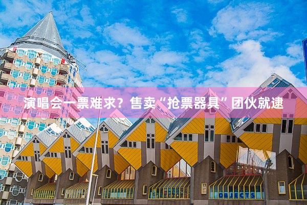 演唱会一票难求？售卖“抢票器具”团伙就逮