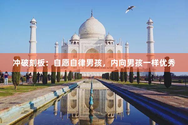 冲破刻板：自愿自律男孩，内向男孩一样优秀