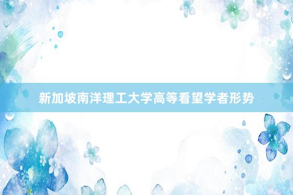 新加坡南洋理工大学高等看望学者形势