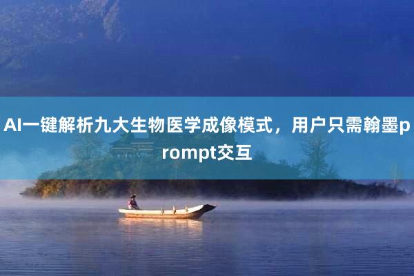 AI一键解析九大生物医学成像模式，用户只需翰墨prompt交互