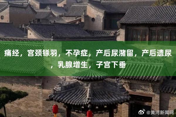 痛经，宫颈铩羽，不孕症，产后尿潴留，产后遗尿，乳腺增生，子宫下垂