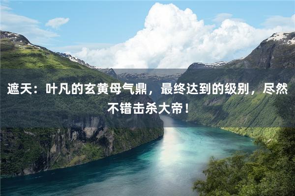 遮天：叶凡的玄黄母气鼎，最终达到的级别，尽然不错击杀大帝！