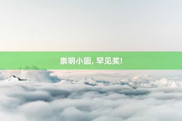 崇明小囡, 罕见奖!