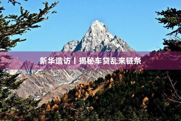 新华造访丨揭秘车贷乱来链条