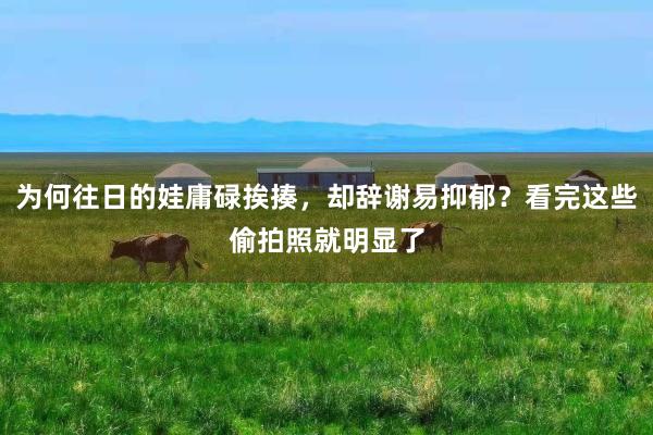 为何往日的娃庸碌挨揍，却辞谢易抑郁？看完这些偷拍照就明显了